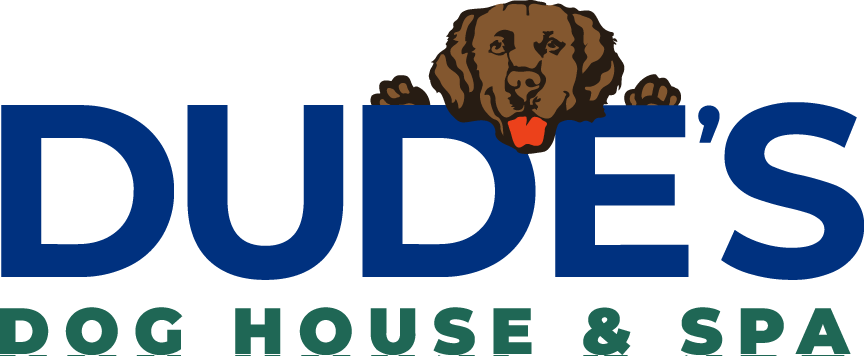 Dude's Dog House