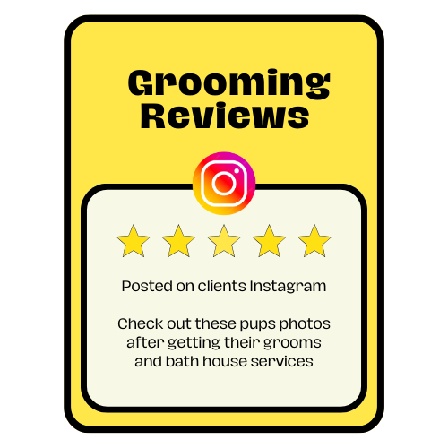 Client Instagram Grooming Reviews (8 x 10 in) (500 x 500 px)-2